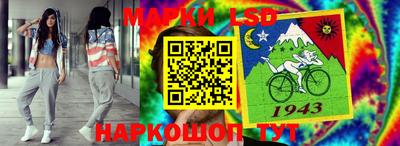 стафф Дубна