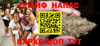 стафф Дубна