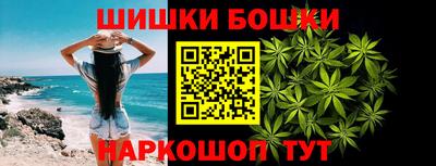 стафф Дубна