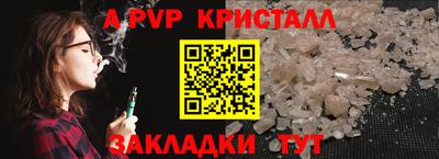 стафф Дубна