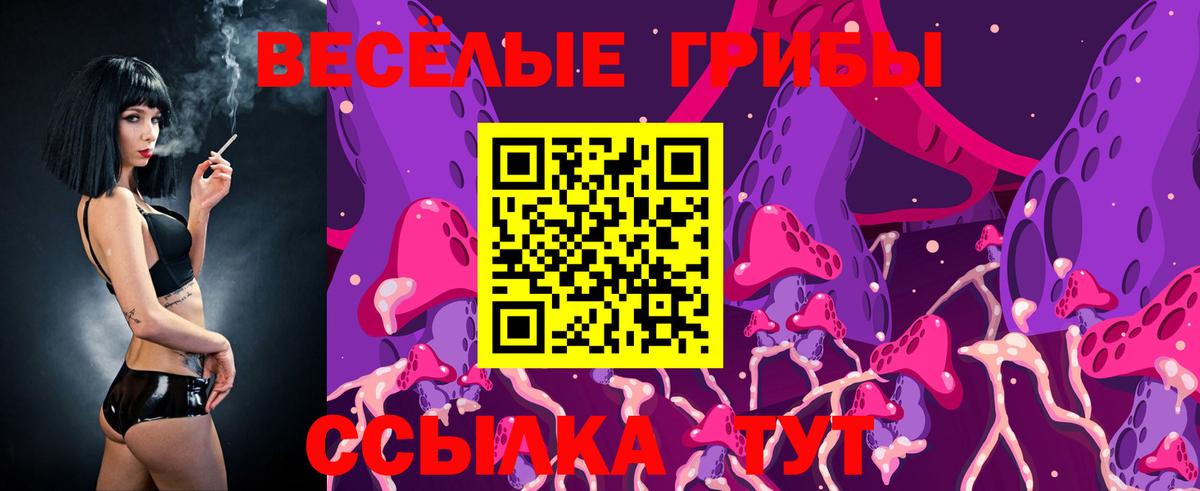 Галлюциногенные грибы Magic Shrooms  Вход с VPN  Михайловка 